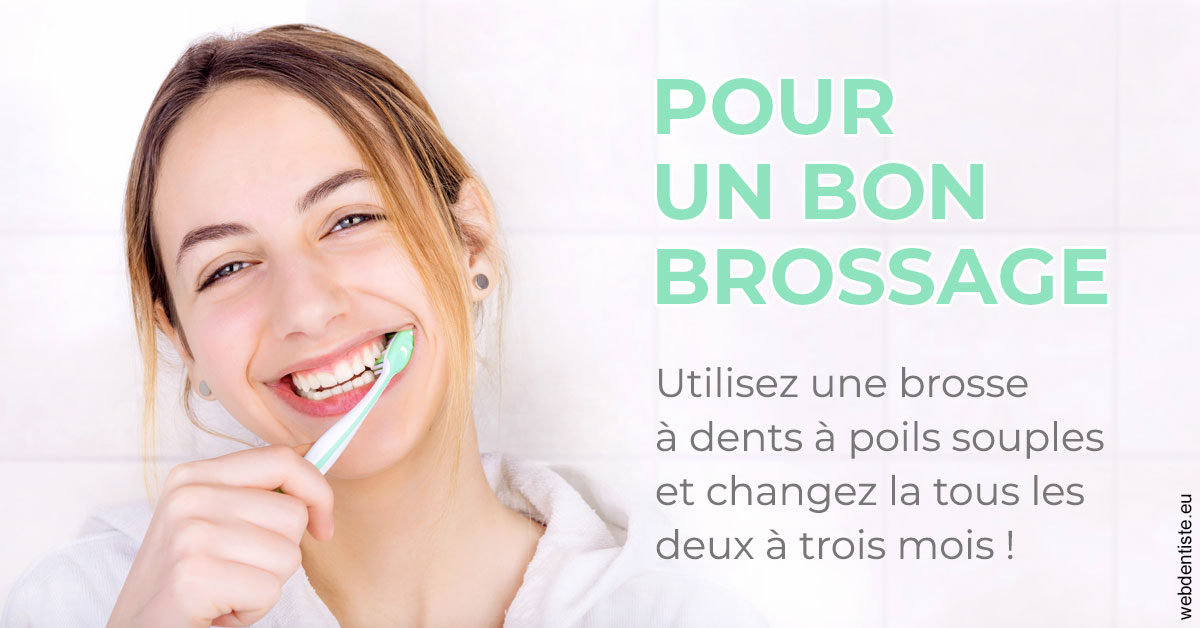 https://dr-benoit-bertini.chirurgiens-dentistes.fr/Pour un bon brossage 2
