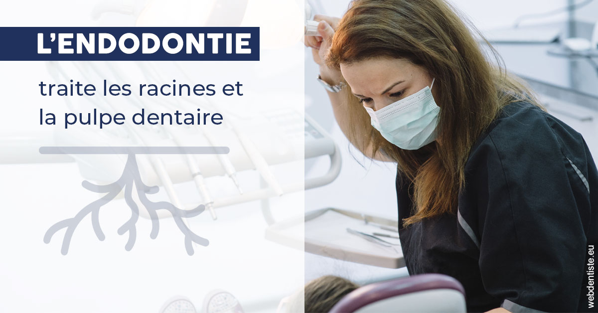 https://dr-benoit-bertini.chirurgiens-dentistes.fr/L'endodontie 1