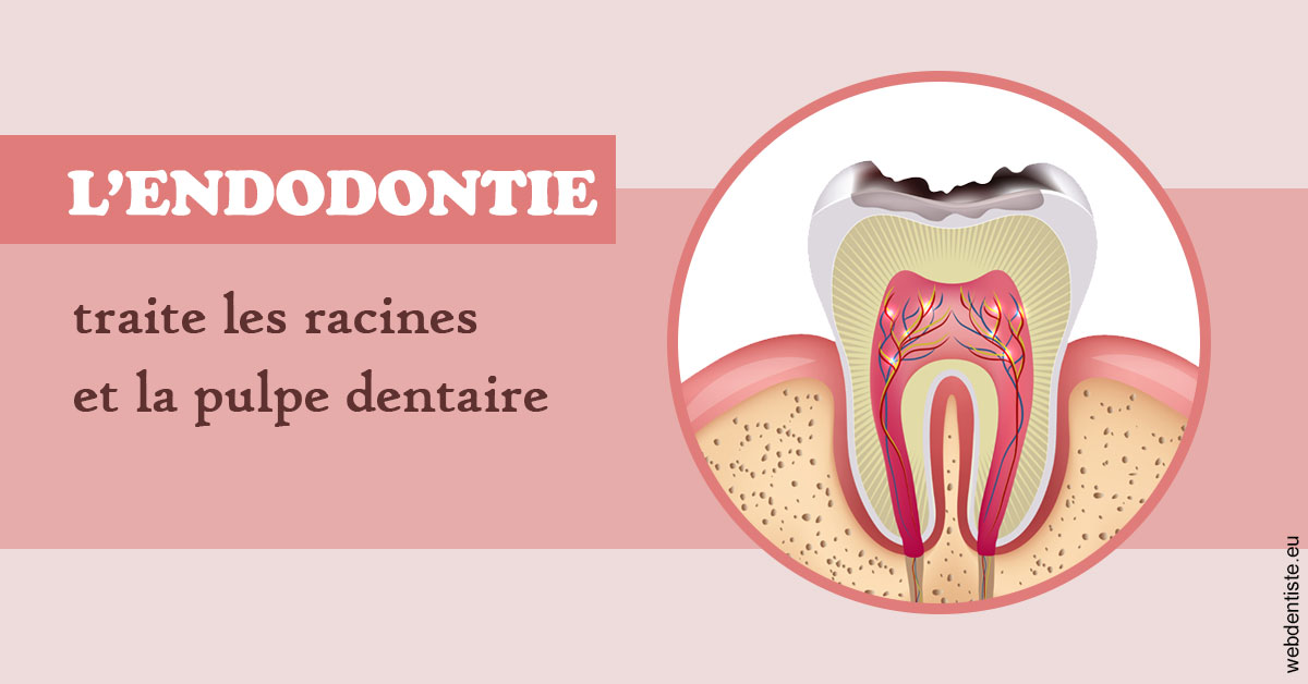 https://dr-benoit-bertini.chirurgiens-dentistes.fr/L'endodontie 2